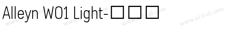 Alleyn W01 Light字体转换